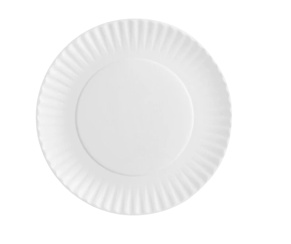 Choice Disposable Paper Plates, Plain, 9 in, 200 Count
