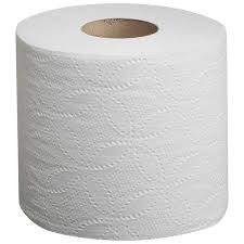1000 Sheets per Roll Toilet Paper -Long Lasting Value Toilet Paper 20 rolls case
