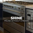 Stainless Steel Cleaner & Polish Aerosol, 10 fl oz